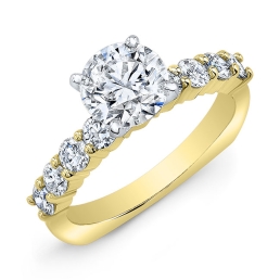 Classic Style Diamond Engagement Ring-18k Yellow Gold